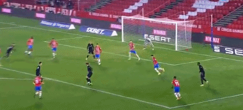 WTA巡回赛动态分析